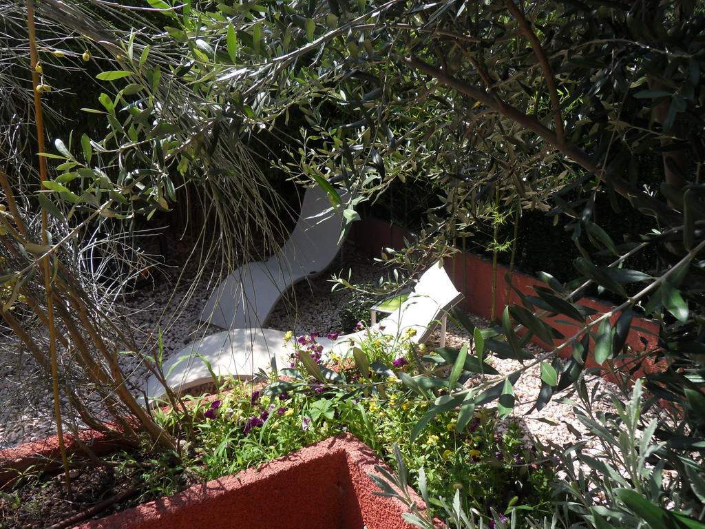 Chambres D'Hotes De La Grone Argelès-sur-Mer Exteriör bild